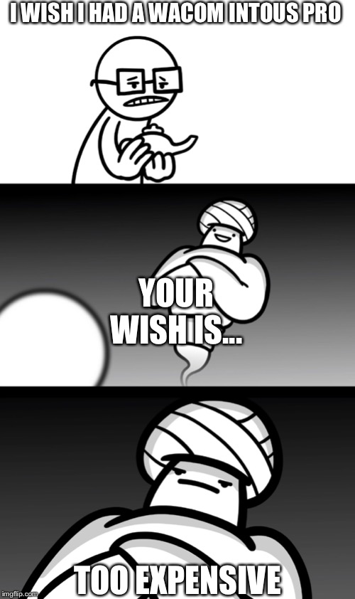 Your Wish is Stupid | I WISH I HAD A WACOM INTOUS PRO; YOUR WISH IS... TOO EXPENSIVE | image tagged in your wish is stupid | made w/ Imgflip meme maker