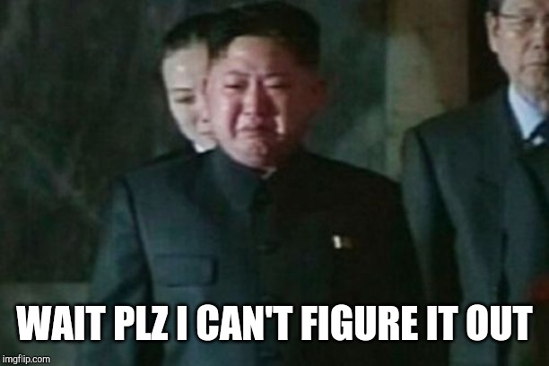 Kim Jong Un Sad Meme | WAIT PLZ I CAN'T FIGURE IT OUT | image tagged in memes,kim jong un sad | made w/ Imgflip meme maker
