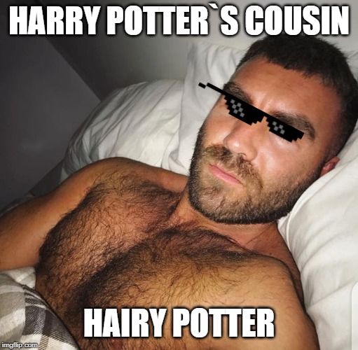 HARRY POTTER`S COUSIN; HAIRY POTTER | image tagged in harry potter,hairy | made w/ Imgflip meme maker