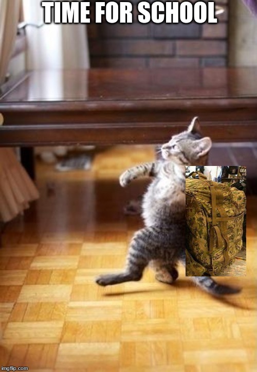 Cool Cat Stroll | TIME FOR SCHOOL | image tagged in memes,cool cat stroll | made w/ Imgflip meme maker
