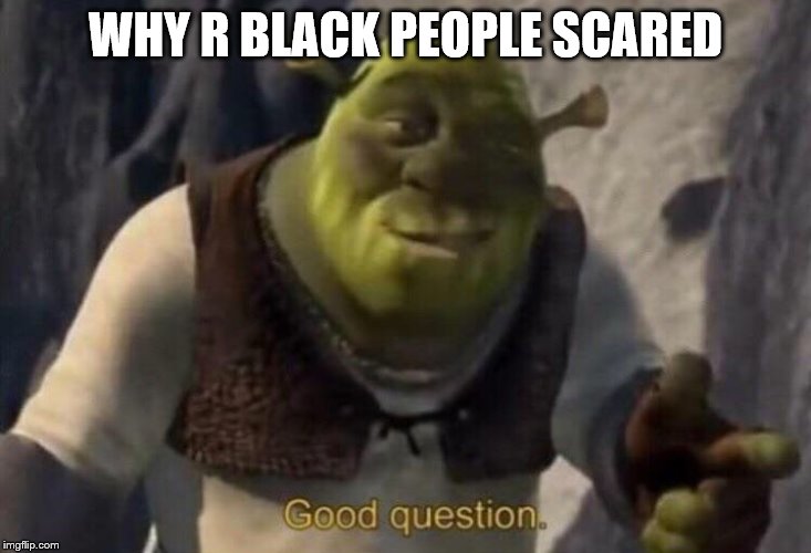 Shrek good question | WHY R BLACK PEOPLE SCARED | image tagged in shrek good question | made w/ Imgflip meme maker