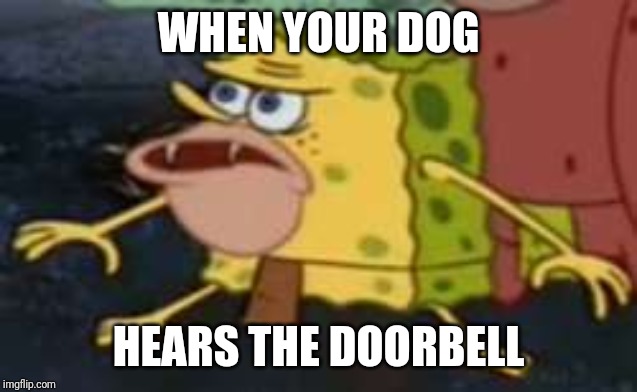 Spongegar Meme | WHEN YOUR DOG; HEARS THE DOORBELL | image tagged in memes,spongegar | made w/ Imgflip meme maker