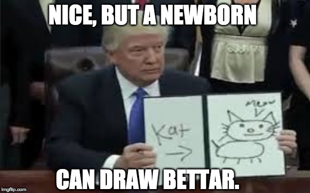 Trump is "smart" | NICE, BUT A NEWBORN; CAN DRAW BETTAR. | image tagged in trump | made w/ Imgflip meme maker