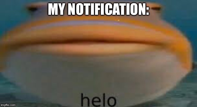helo fish | MY NOTIFICATION: | image tagged in helo fish | made w/ Imgflip meme maker