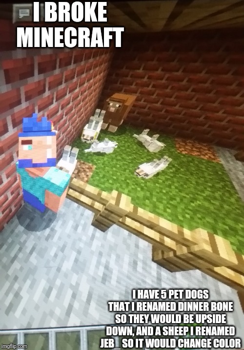 I broke minecraft | I BROKE MINECRAFT; I HAVE 5 PET DOGS THAT I RENAMED DINNER BONE SO THEY WOULD BE UPSIDE DOWN, AND A SHEEP I RENAMED JEB_ SO IT WOULD CHANGE COLOR | image tagged in i broke minecraft | made w/ Imgflip meme maker