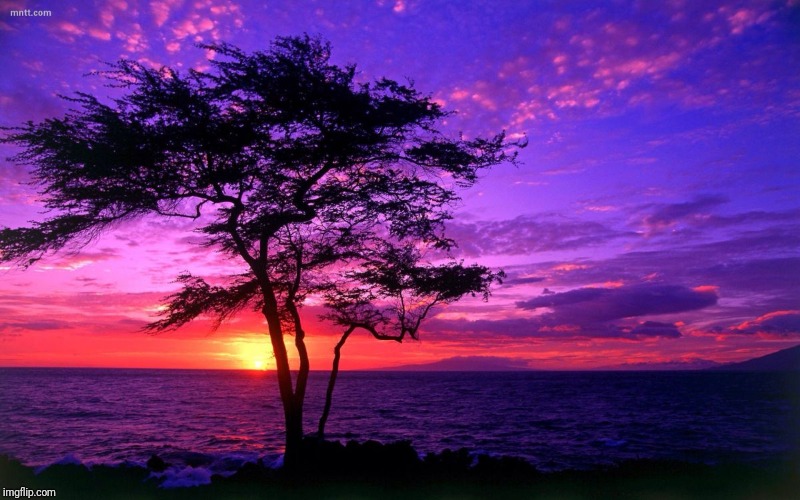 Sunrise purple beauty | image tagged in sunrise purple beauty | made w/ Imgflip meme maker