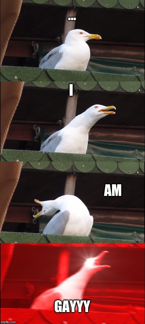 Inhaling Seagull | ... I; AM; GAYYY | image tagged in memes,inhaling seagull | made w/ Imgflip meme maker