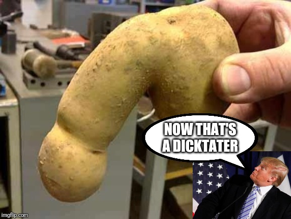 Dictator | NOW THAT'S A DICKTATER | image tagged in dictator | made w/ Imgflip meme maker