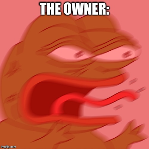 Rage Pepe | THE OWNER: | image tagged in rage pepe | made w/ Imgflip meme maker