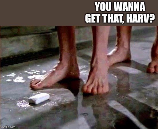 drop the soap | YOU WANNA GET THAT, HARV? | image tagged in drop the soap | made w/ Imgflip meme maker
