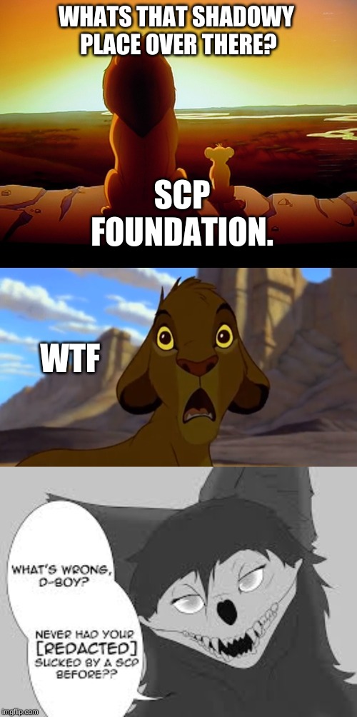 WHATS THAT SHADOWY 
PLACE OVER THERE? SCP FOUNDATION. WTF | image tagged in memes,lion king | made w/ Imgflip meme maker