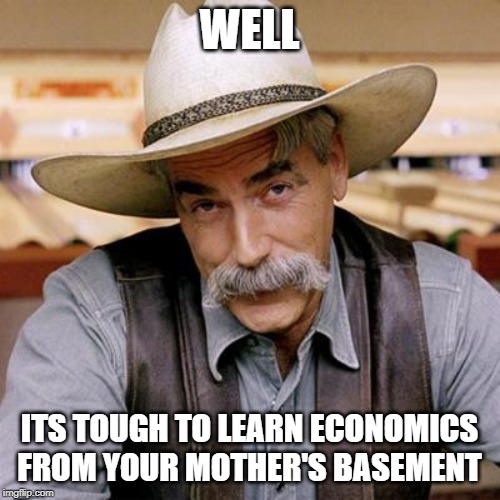 SARCASM COWBOY | WELL ITS TOUGH TO LEARN ECONOMICS FROM YOUR MOTHER'S BASEMENT | image tagged in sarcasm cowboy | made w/ Imgflip meme maker