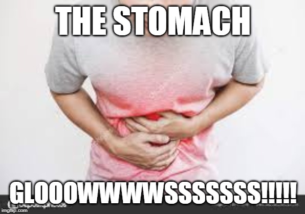 my stomach kinda burns | THE STOMACH; GLOOOWWWWSSSSSSS!!!!! | image tagged in my stomach kinda burns | made w/ Imgflip meme maker