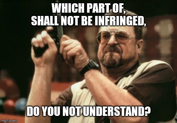 John Goodman | WHICH PART OF, SHALL NOT BE INFRINGED, DO YOU NOT UNDERSTAND? | image tagged in john goodman | made w/ Imgflip meme maker