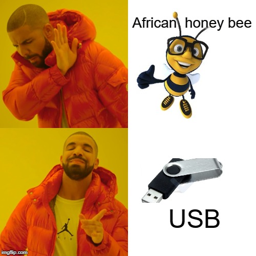 Drake Hotline Bling | African  honey bee; USB | image tagged in memes,drake hotline bling | made w/ Imgflip meme maker