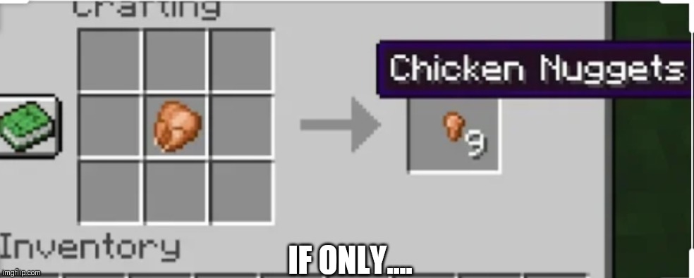 You're welcome | IF ONLY.... | image tagged in minecraft,chicken nuggets,gaming,yummy | made w/ Imgflip meme maker