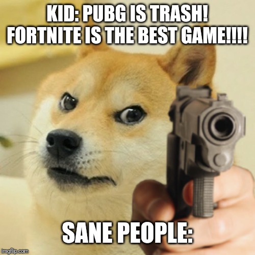 Doge holding a gun | KID: PUBG IS TRASH! FORTNITE IS THE BEST GAME!!!! SANE PEOPLE: | image tagged in doge holding a gun | made w/ Imgflip meme maker