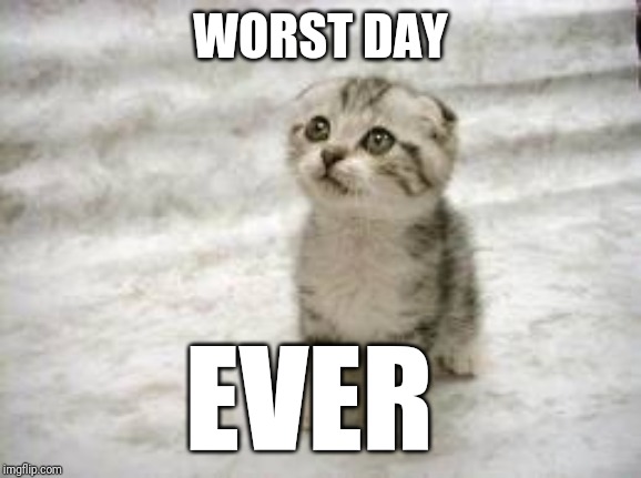 Sad Cat Meme | WORST DAY; EVER | image tagged in memes,sad cat | made w/ Imgflip meme maker