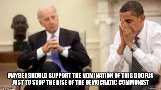 Obama and Biden | MAYBE I SHOULD SUPPORT THE NOMINATION OF THIS DOOFUS
JUST TO STOP THE RISE OF THE DEMOCRATIC COMMUNIST | image tagged in obama and biden | made w/ Imgflip meme maker