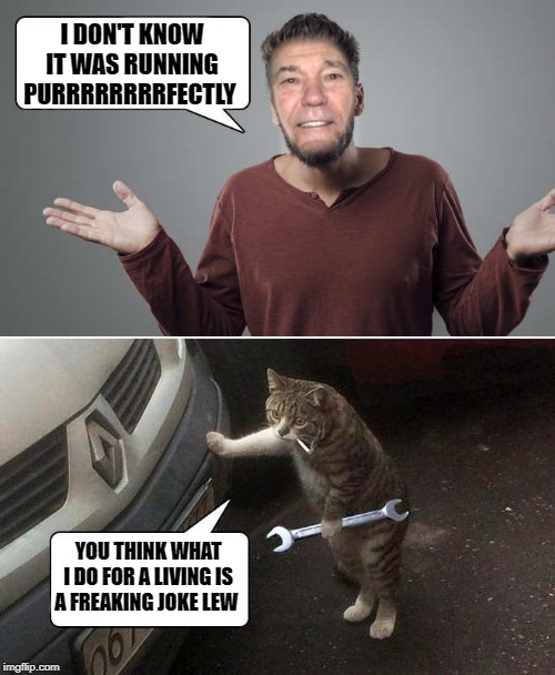 its how you say it | I DON'T KNOW IT WAS RUNNING PURRRRRRRRFECTLY; YOU THINK WHAT I DO FOR A LIVING IS A FREAKING JOKE LEW | image tagged in kewlew,joke | made w/ Imgflip meme maker