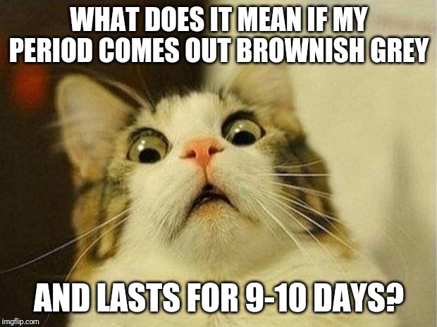 Scared Cat Meme | WHAT DOES IT MEAN IF MY PERIOD COMES OUT BROWNISH GREY; AND LASTS FOR 9-10 DAYS? | image tagged in memes,scared cat | made w/ Imgflip meme maker