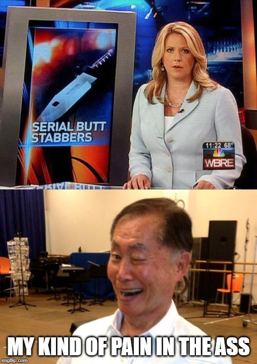 Sulu Approves | MY KIND OF PAIN IN THE ASS | image tagged in winking george takei | made w/ Imgflip meme maker