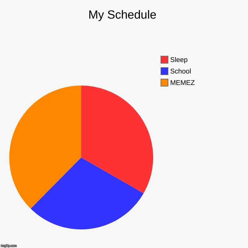 My Schedule | MEMEZ, School, Sleep | image tagged in charts,pie charts | made w/ Imgflip chart maker