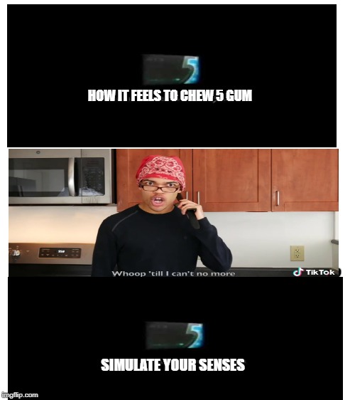 Blank White Template | HOW IT FEELS TO CHEW 5 GUM; SIMULATE YOUR SENSES | image tagged in blank white template | made w/ Imgflip meme maker