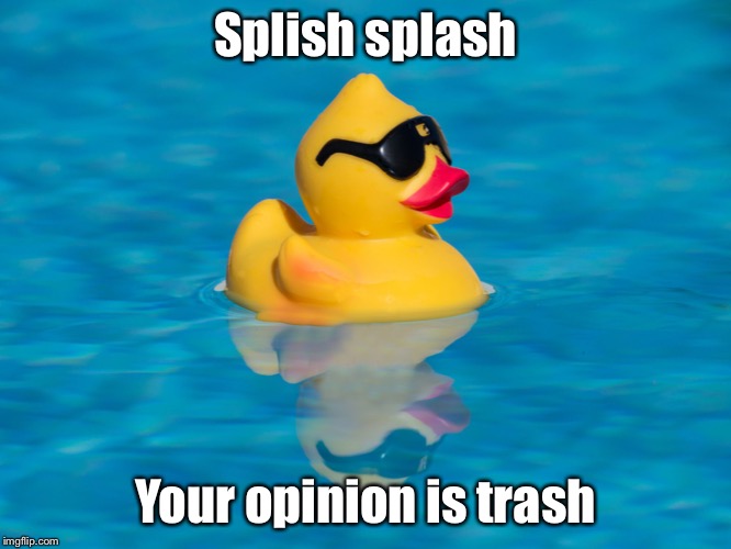 splash; Your opinion is trash image tagged in splash splash,memes,custom te...