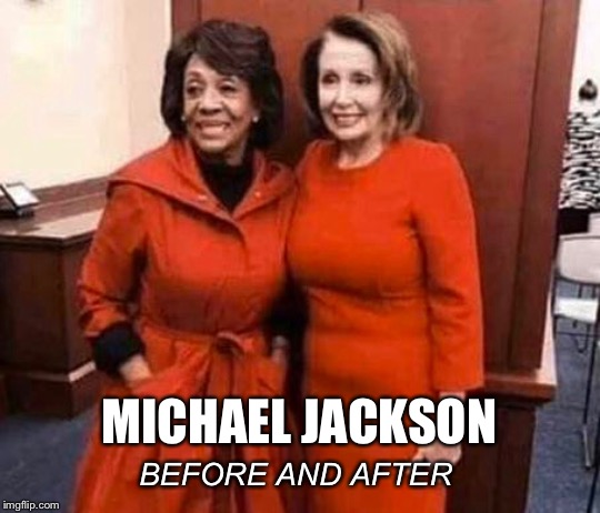 Credit r/the_Donald | MICHAEL JACKSON; BEFORE AND AFTER | image tagged in maxine waters,nancy pelosi,michael jackson | made w/ Imgflip meme maker