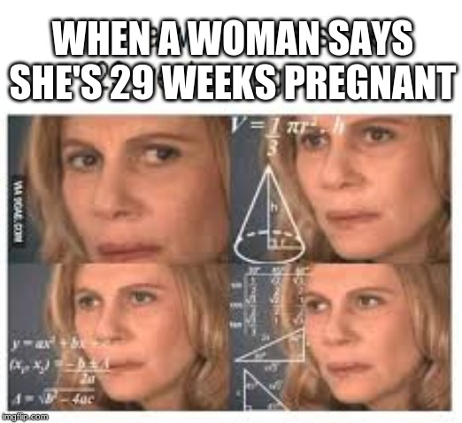 say whaaaaaaat | WHEN A WOMAN SAYS SHE'S 29 WEEKS PREGNANT | image tagged in funny,memes,confused,say what,pregnant woman | made w/ Imgflip meme maker