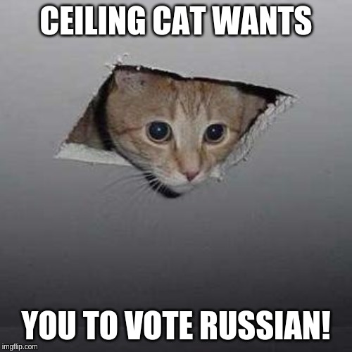 Ceiling Cat | CEILING CAT WANTS; YOU TO VOTE RUSSIAN! | image tagged in memes,ceiling cat | made w/ Imgflip meme maker