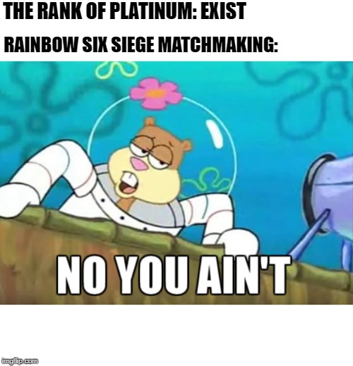 The Gold experience: | THE RANK OF PLATINUM: EXIST; RAINBOW SIX SIEGE MATCHMAKING: | image tagged in gaming | made w/ Imgflip meme maker