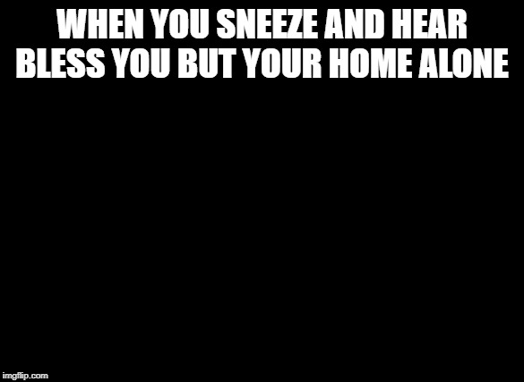 Fallout Hold Up | WHEN YOU SNEEZE AND HEAR BLESS YOU BUT YOUR HOME ALONE | image tagged in fallout hold up | made w/ Imgflip meme maker
