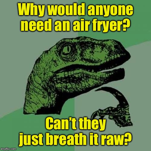 Philosoraptor Meme | Why would anyone need an air fryer? Can’t they just breath it raw? | image tagged in memes,philosoraptor | made w/ Imgflip meme maker