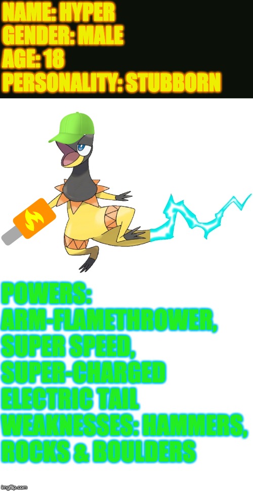 A Bio for my OC, Hyper (Hype for short) | NAME: HYPER
GENDER: MALE
AGE: 18
PERSONALITY: STUBBORN; POWERS: ARM-FLAMETHROWER, SUPER SPEED, SUPER-CHARGED ELECTRIC TAIL
WEAKNESSES: HAMMERS, ROCKS & BOULDERS | image tagged in blank white template,hyper the heliolisk | made w/ Imgflip meme maker