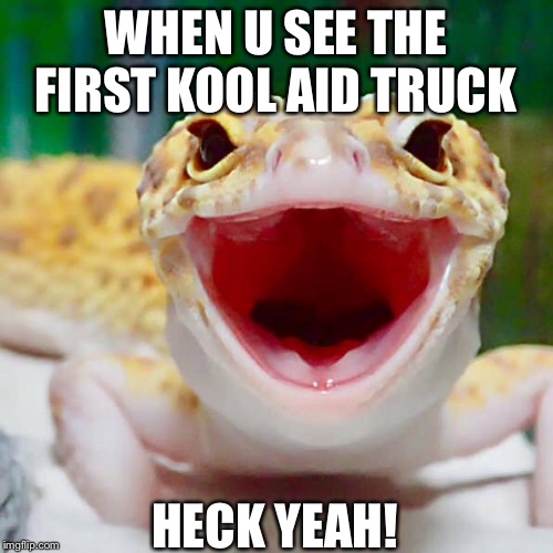 WHEN U SEE THE FIRST KOOL AID TRUCK; HECK YEAH! | image tagged in kool kid klan,epic lizard meme,kool aid truck | made w/ Imgflip meme maker