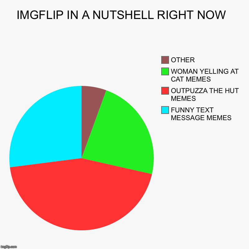 IMGFLIP right now lol | IMGFLIP IN A NUTSHELL RIGHT NOW  | FUNNY TEXT MESSAGE MEMES, OUTPUZZA THE HUT MEMES, WOMAN YELLING AT CAT MEMES, OTHER | image tagged in charts,pie charts | made w/ Imgflip chart maker