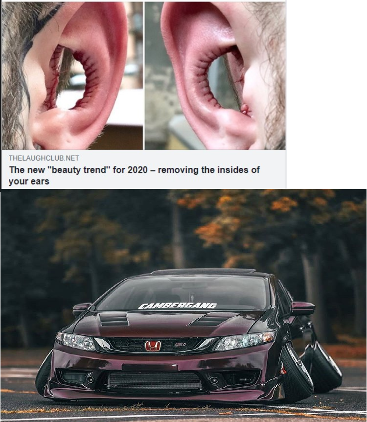 cambered ears Blank Meme Template