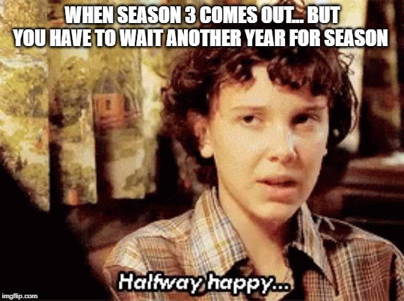 WHEN SEASON 3 COMES OUT... BUT YOU HAVE TO WAIT ANOTHER YEAR FOR SEASON | image tagged in stranger things | made w/ Imgflip meme maker