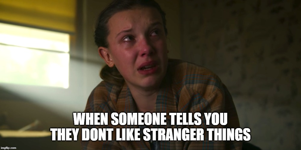 WHEN SOMEONE TELLS YOU THEY DONT LIKE STRANGER THINGS | image tagged in stranger things | made w/ Imgflip meme maker