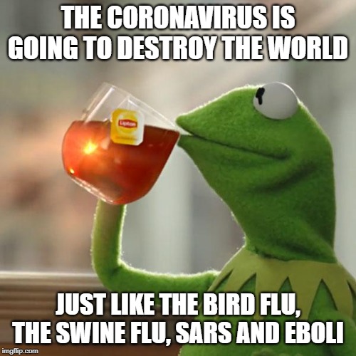 But That's None Of My Business Meme | THE CORONAVIRUS IS GOING TO DESTROY THE WORLD; JUST LIKE THE BIRD FLU, THE SWINE FLU, SARS AND EBOLI | image tagged in memes,but thats none of my business,kermit the frog | made w/ Imgflip meme maker