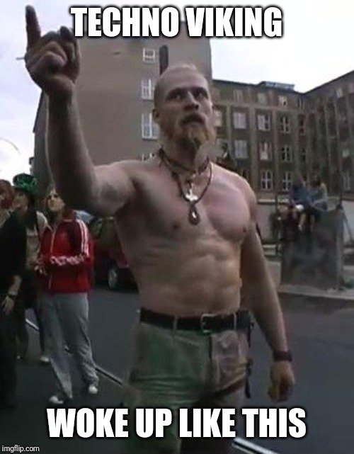 Techno Viking | TECHNO VIKING WOKE UP LIKE THIS | image tagged in techno viking | made w/ Imgflip meme maker