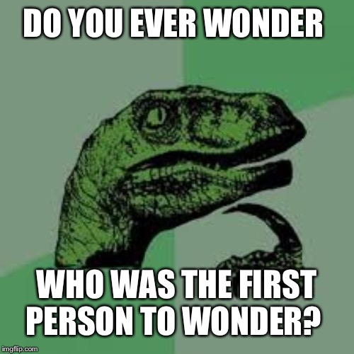 I wonder who wondered first | DO YOU EVER WONDER; WHO WAS THE FIRST PERSON TO WONDER? | image tagged in philociraptor,memes | made w/ Imgflip meme maker