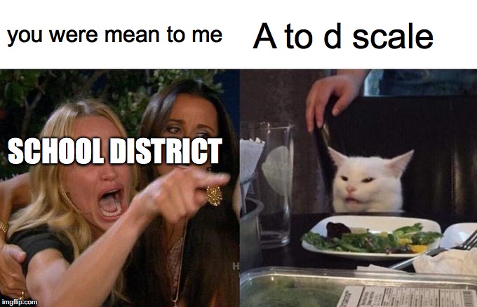 Woman Yelling At Cat Meme | you were mean to me; A to d scale; SCHOOL DISTRICT | image tagged in memes,woman yelling at cat | made w/ Imgflip meme maker