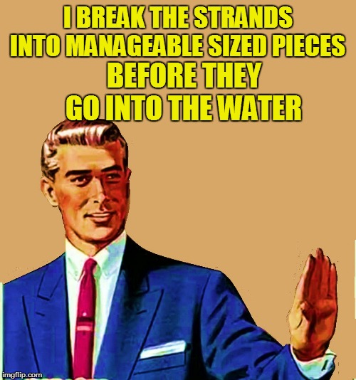 I BREAK THE STRANDS INTO MANAGEABLE SIZED PIECES BEFORE THEY GO INTO THE WATER | made w/ Imgflip meme maker