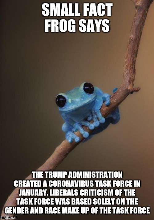 small fact frog | SMALL FACT FROG SAYS THE TRUMP ADMINISTRATION CREATED A CORONAVIRUS TASK FORCE IN JANUARY. LIBERALS CRITICISM OF THE TASK FORCE WAS BASED SO | image tagged in small fact frog | made w/ Imgflip meme maker