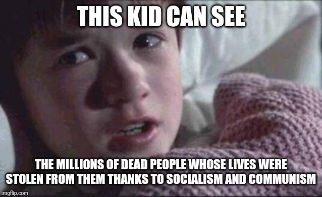 I See Dead People Meme | THIS KID CAN SEE THE MILLIONS OF DEAD PEOPLE WHOSE LIVES WERE STOLEN FROM THEM THANKS TO SOCIALISM AND COMMUNISM | image tagged in memes,i see dead people | made w/ Imgflip meme maker