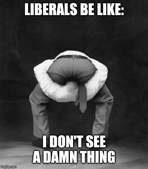 Head Up Ass | LIBERALS BE LIKE: I DON'T SEE A DAMN THING | image tagged in head up ass | made w/ Imgflip meme maker