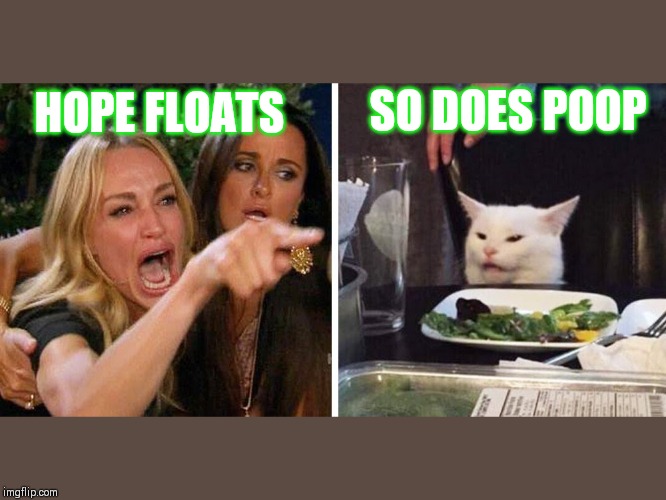 Smudge the cat | SO DOES POOP; HOPE FLOATS | image tagged in smudge the cat | made w/ Imgflip meme maker